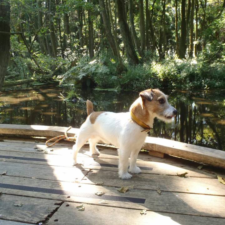 C3c64372 136c 47c0 8fff f823a407537b