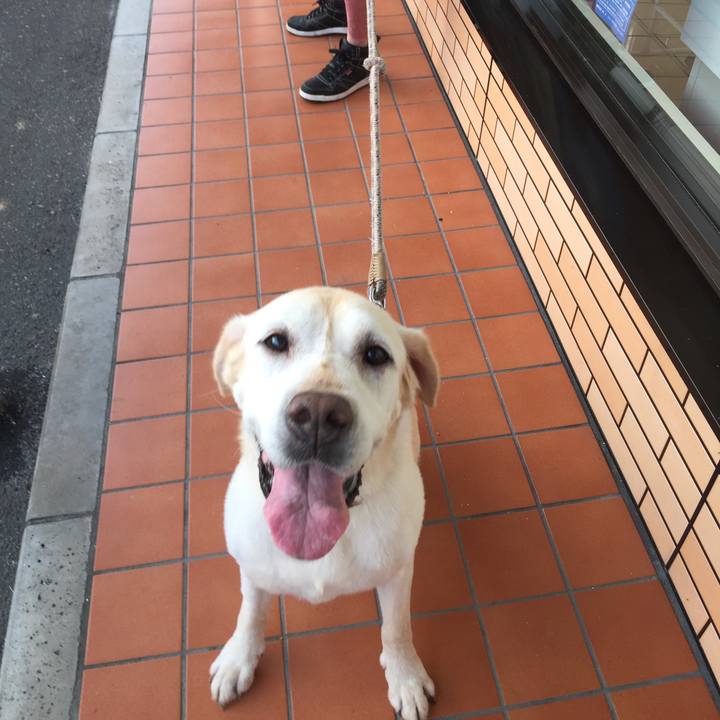 C3c6cf1d 46ec 47c6 ac63 a97424486851