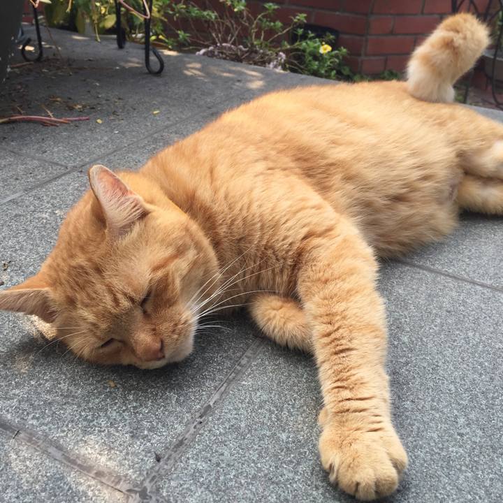 C3c784e9 39b9 4b83 b673 ffdc7f2a7135