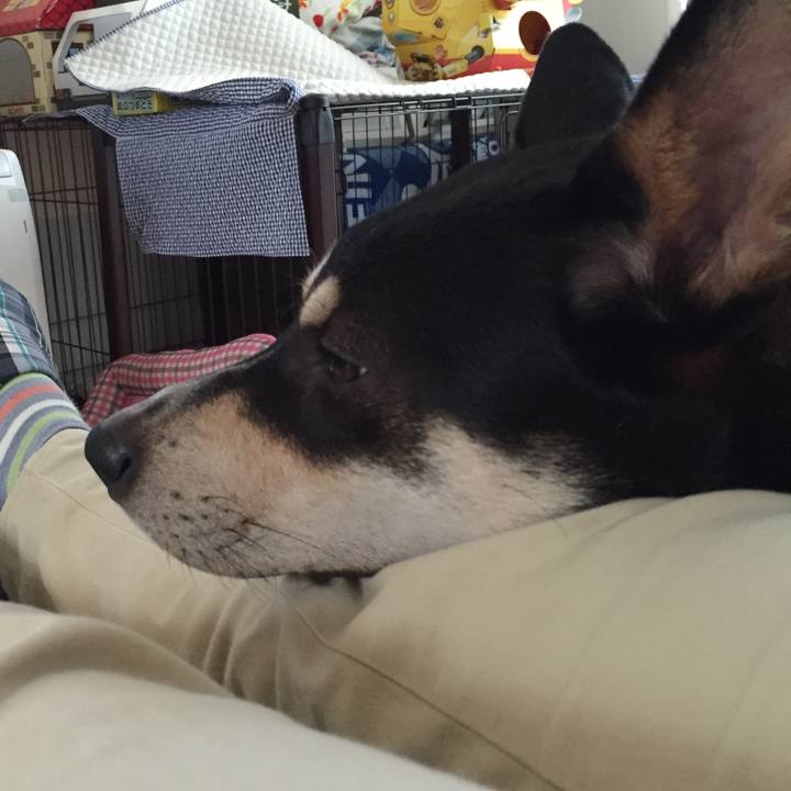 C3c7ebeb 1ebb 46e8 965a 97a02d20b32b