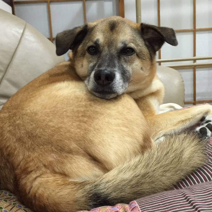 C3c9f72c eb4e 4132 8910 9a9f01cf2ee4