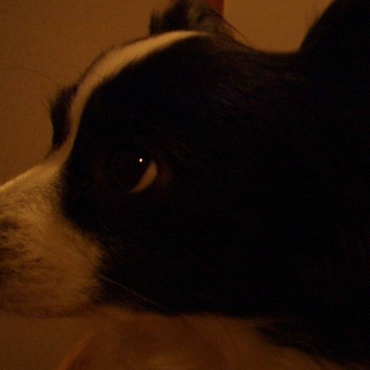 C3ca03bf a55b 4058 8e19 ddca042f15f4