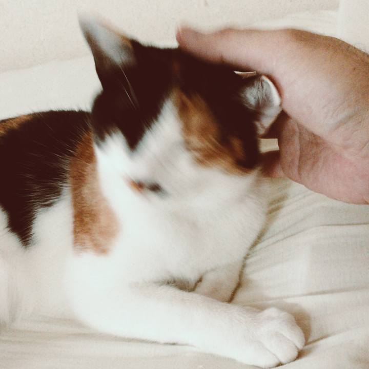 C3cb21ad 34c8 486e be49 9800940f9aee