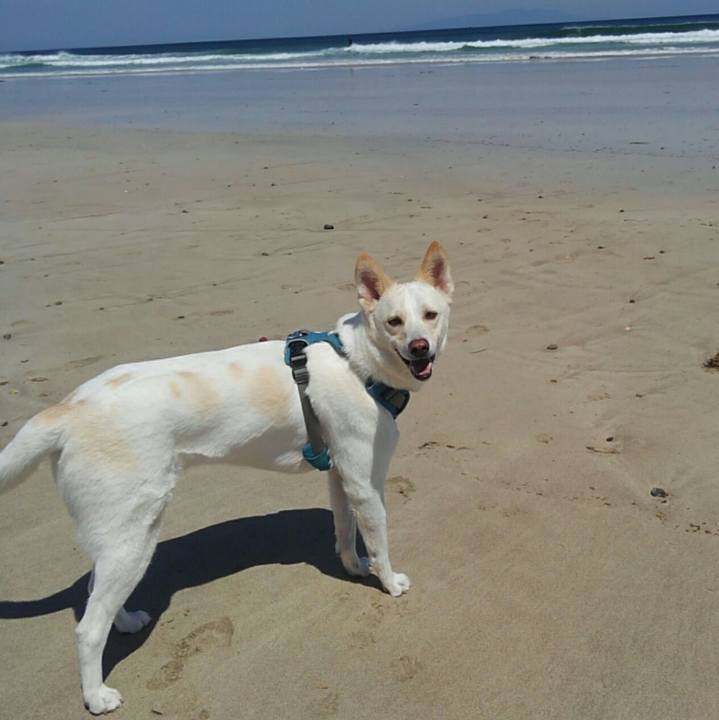 C3cb51f5 dc98 4bf1 a61c 8fb6f831024a