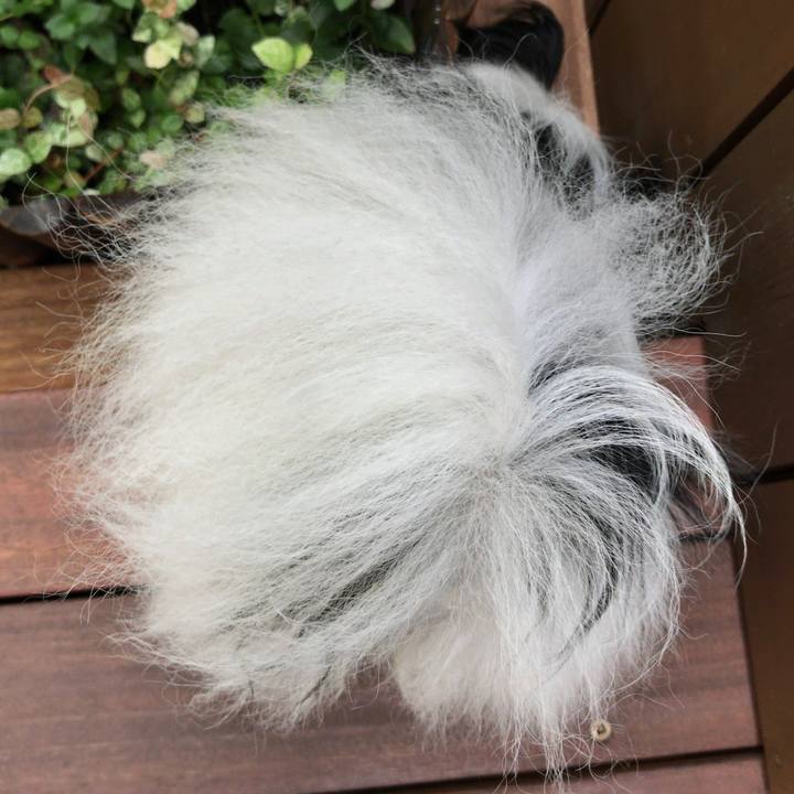 C3cb7f31 db87 4ae9 9be0 9cd966567c87