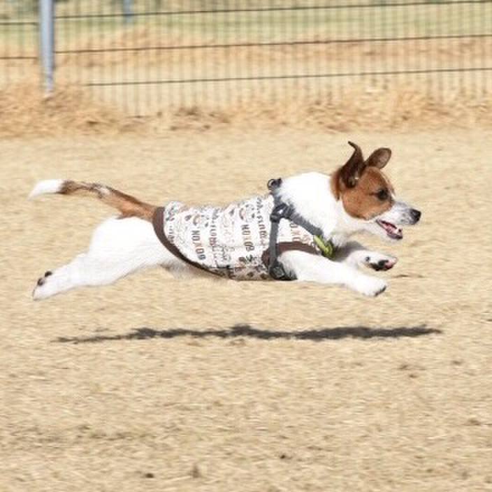 C3cbd1ed 44af 46d0 8924 36d187ed96aa