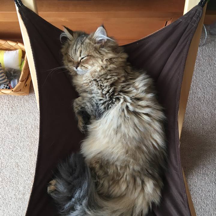 C3cbdfcc a000 4f05 864a 01dc4a726ed6