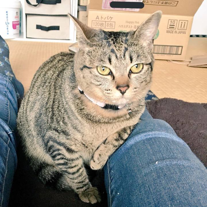 C3cbed62 c914 42aa b967 833622d3f088