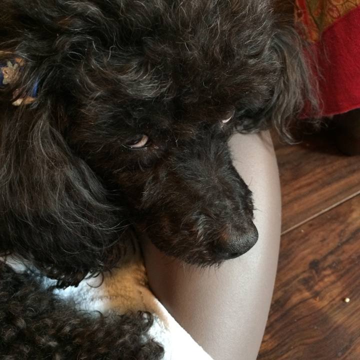 C3cbff59 a6a4 4a0e aaad c25ddd5c471e