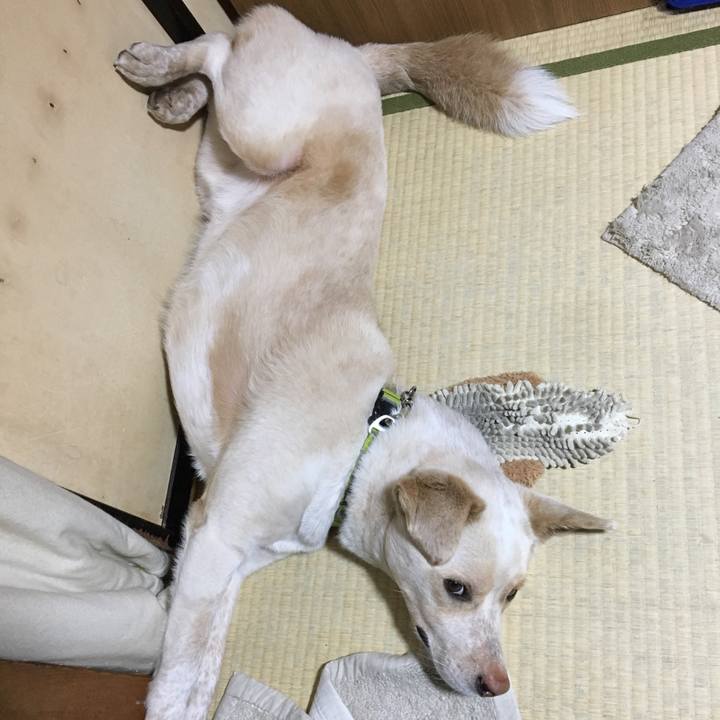 C3cc4c00 f6fd 4a83 9719 e207bd773a75