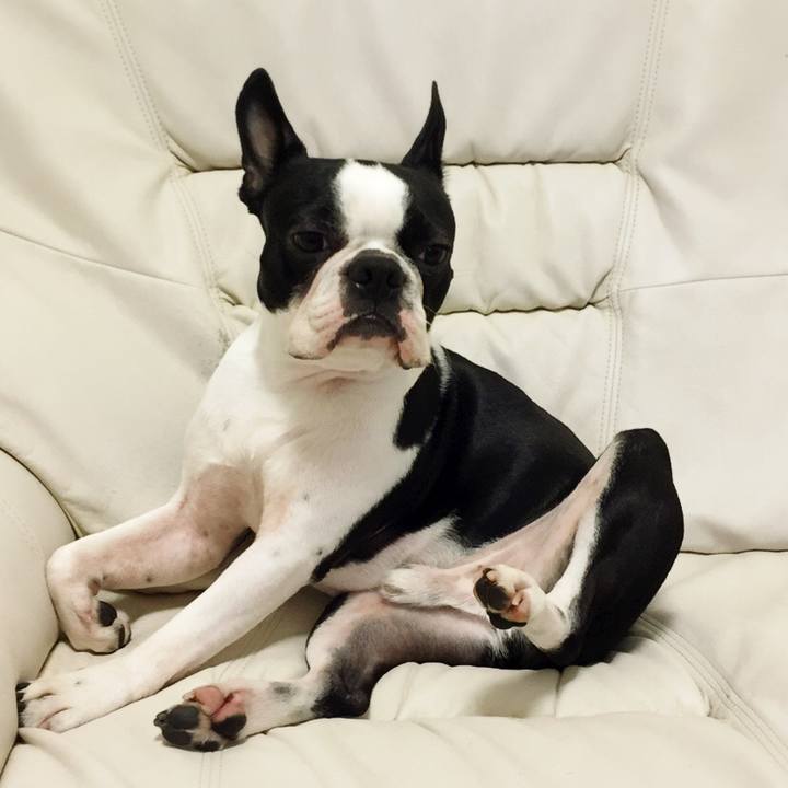 C3cc5974 a63f 41b1 a634 20b89cac0d7e