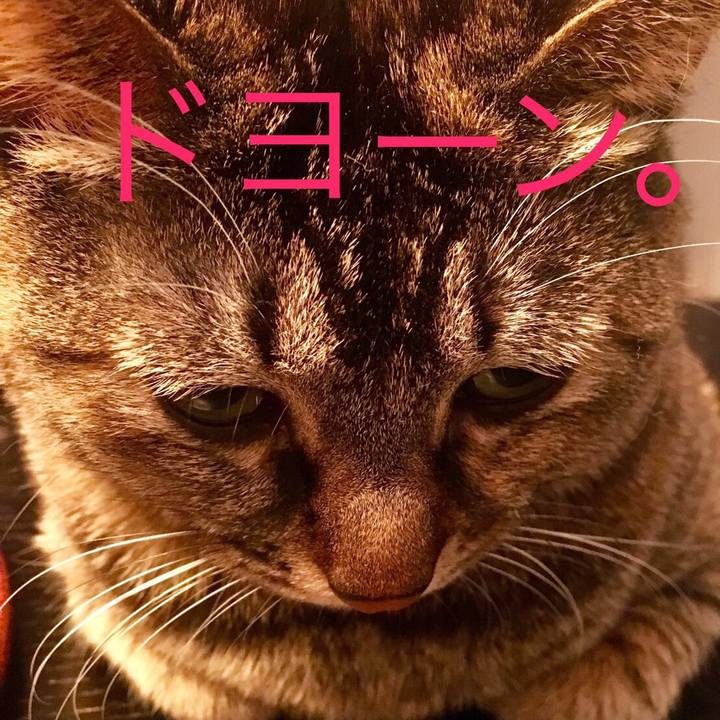 C3cc8c4e 4154 47d7 b90c 1157d2fdeb41