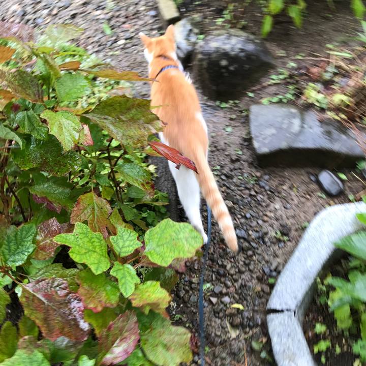 C3cce156 cf4c 44c9 ba96 c5f55af5578f