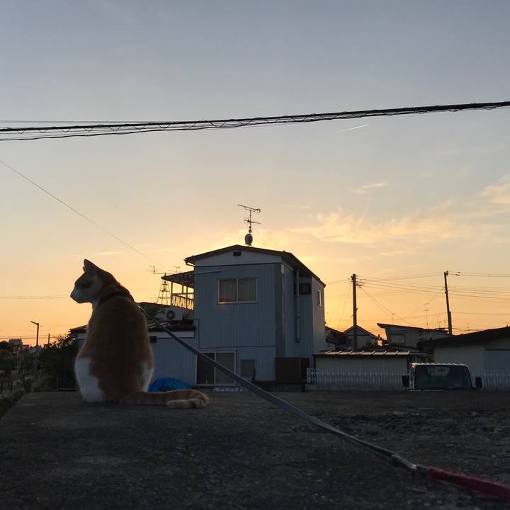 C3cd0e95 ccda 4e76 884d 9a005636146f