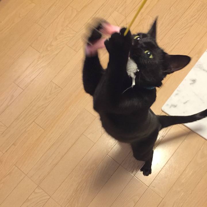 C3cda6b6 952d 42df 9f36 a762a56e507a