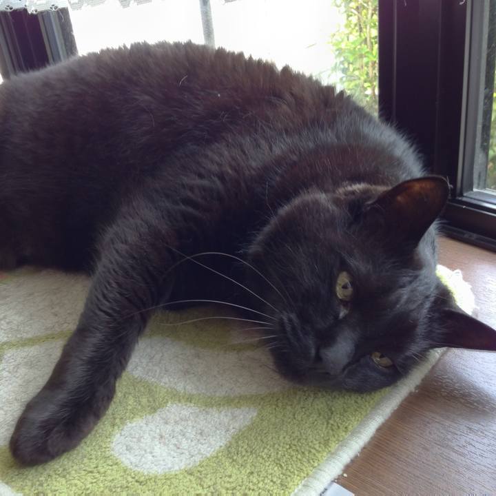 C3cda949 eccb 4803 b499 88a2dd30a46c