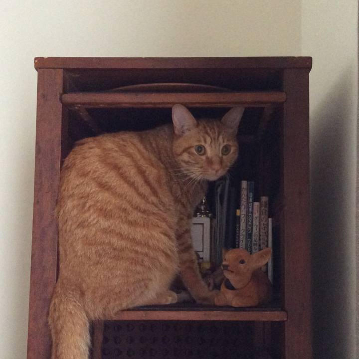 C3ce20a5 1c6e 4bef bf14 b06f1c2a292e