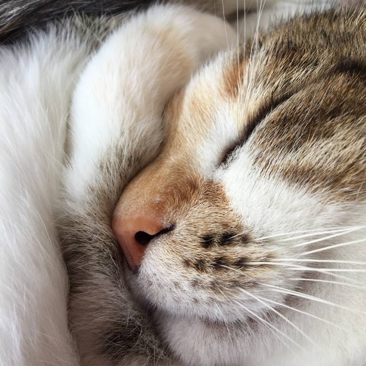 C3ce4640 12c5 42c6 bfcb 06bf8598de84