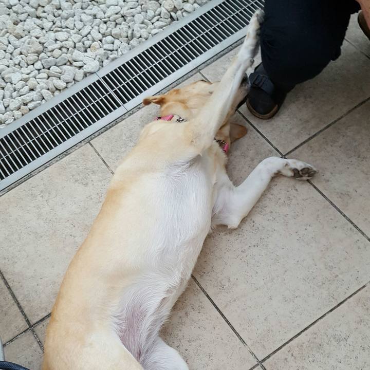 C3cf6d67 7314 457a 9f7d ccffcef5d596