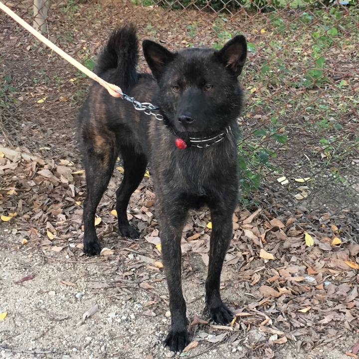 C3cf8d43 5f4a 4157 81ec 4f002e5d22c6