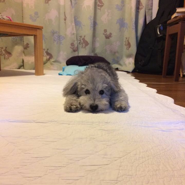 C3d0013d 8134 4d6d 8159 20fb567c81a7