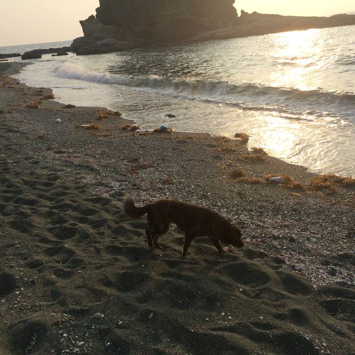 C3d00960 2e59 4295 ae86 64c7e251f041