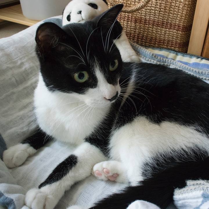 C3d0fb1f 6087 4ea9 af08 b980ef8d7cb2