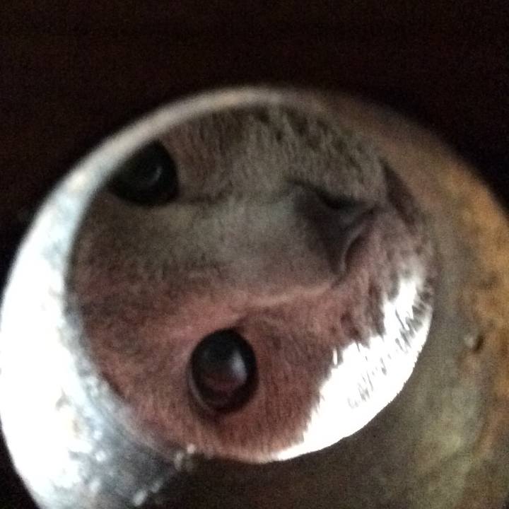 C3d15a2d 6edc 4258 a969 af0204af1b7c