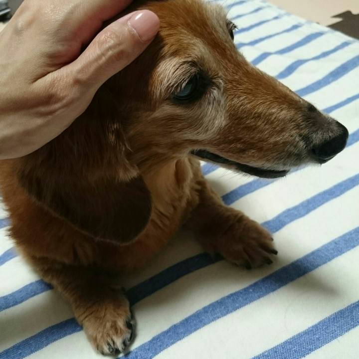 C3d1c238 9b9d 4467 b0f3 fdaea4c9ff2e