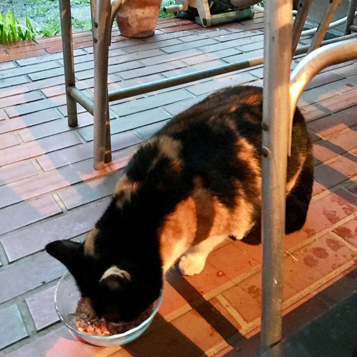 C3d1de5d de48 4062 ae40 8a797dd0c2a0