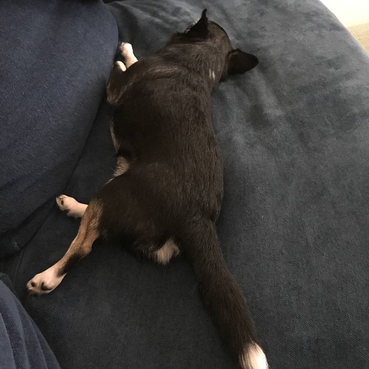 C3d1e8c6 f77a 4b4c 921a 810316ffa009