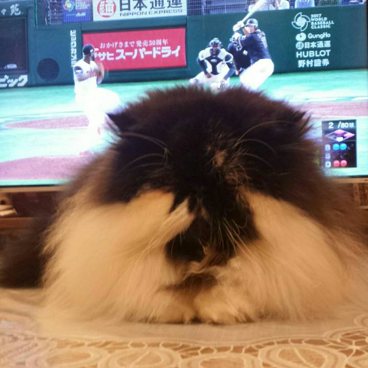 C3d24504 02c1 4d2f 9d5f 5adb3355ecb6