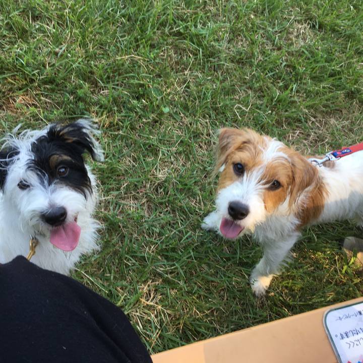 C3d277e7 9d53 4c8d b263 d146b17e1927