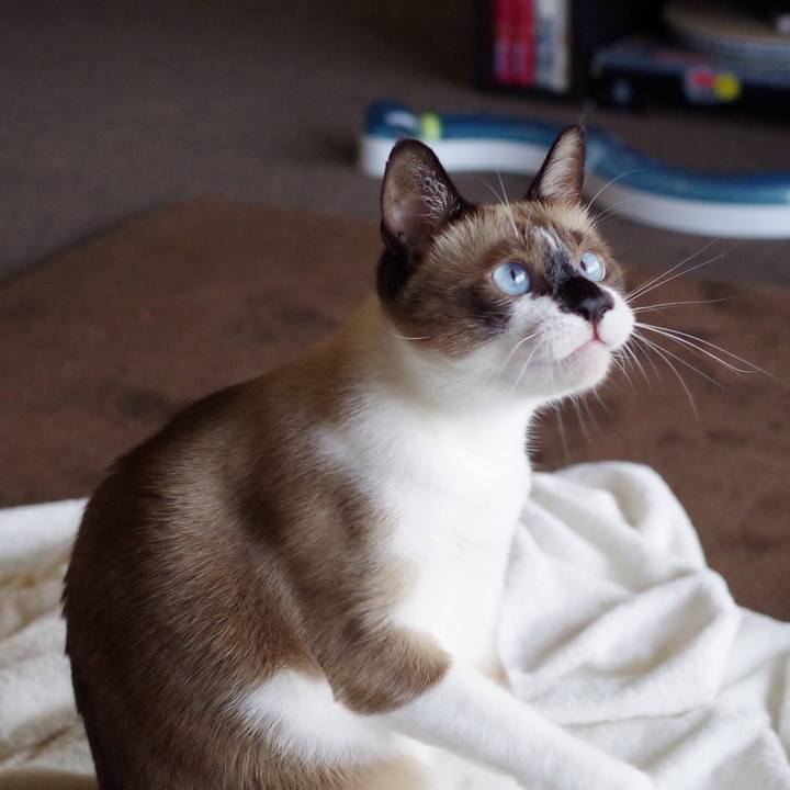 C3d34f69 c6de 4942 9923 279d793554dc