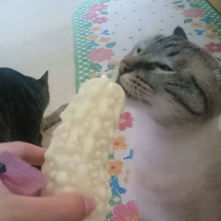 C3d3600d 2dcb 4655 99a9 f27b681e497e