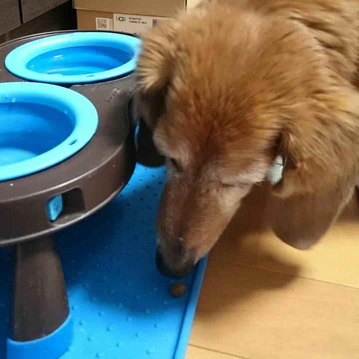 C3d39ab2 f02a 4340 aae1 b7ad2048400f