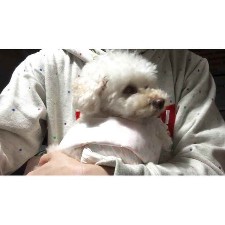 C3d430c5 ebe6 45a5 9767 187b78cf2c27