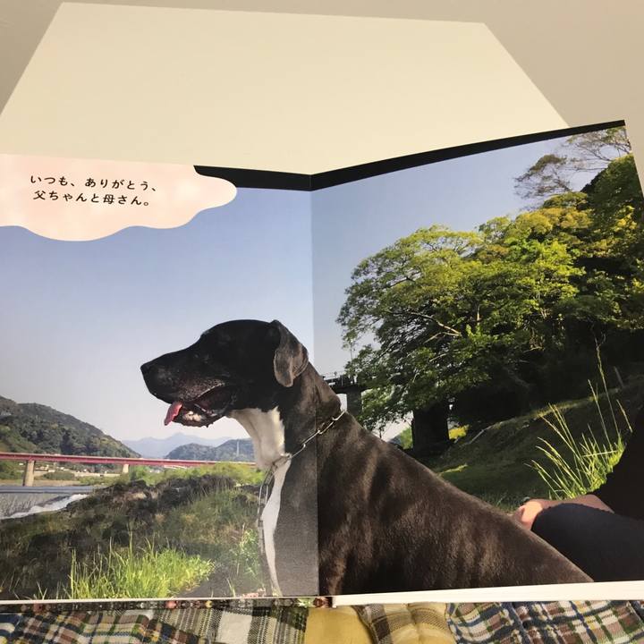 C3d53d3f 71b8 49f0 952d 85cd9c3389a9