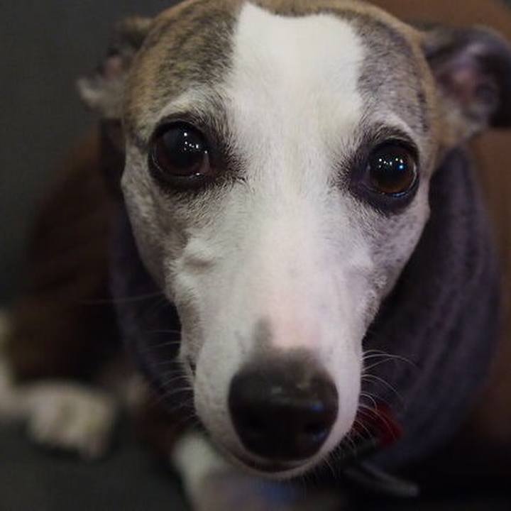 C3d543d4 79ad 4f2a b129 bc58586259bc