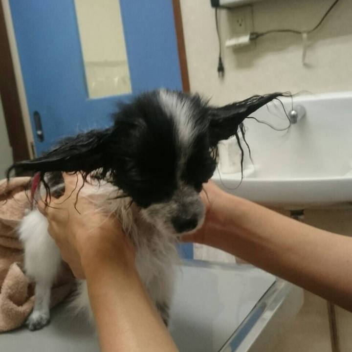 C3d569fe 3399 49fc 8af1 a525ff9de0f5