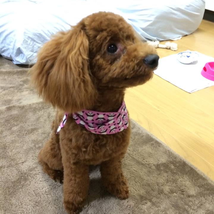 C3d57025 1b00 4a12 9176 526ff8cec21e