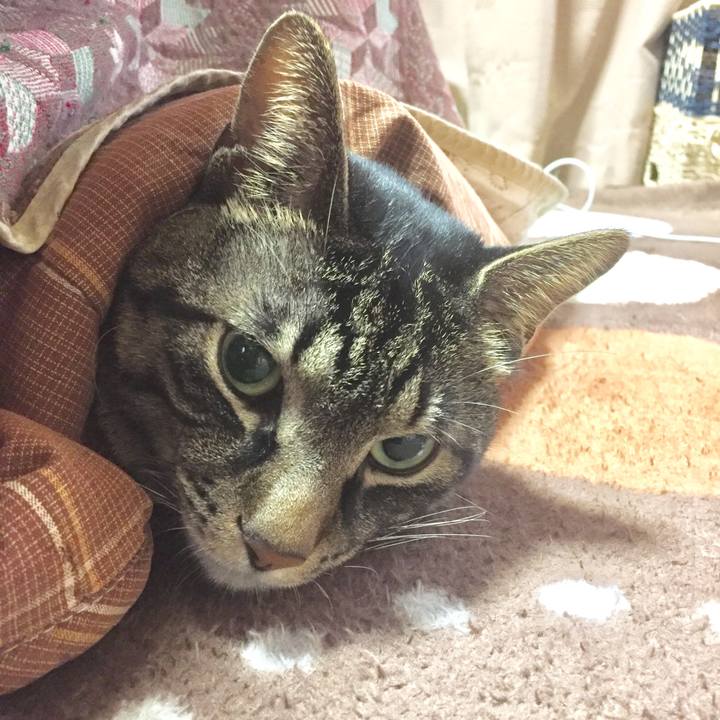 C3d58a81 c18b 40a0 8248 80c7ca174d97