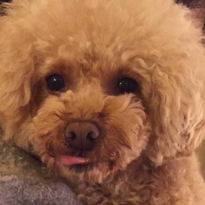 C3d5929e b5f0 44b6 8520 622fe75f8c64