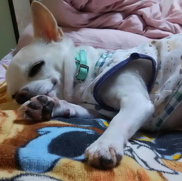 C3d62db1 76ca 4058 869f a53c3f0b751a