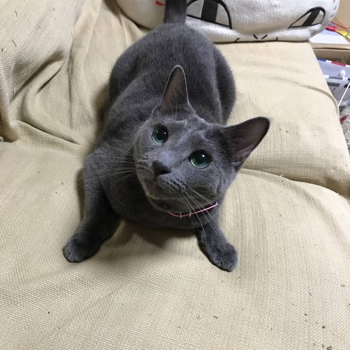 C3d66d70 f0ff 404e adb1 c91ee418ee54