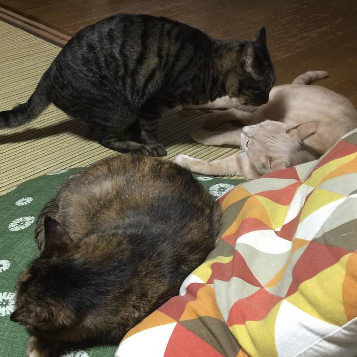 C3d67dd3 6d4c 42a9 8fd2 d6b7b92f9940