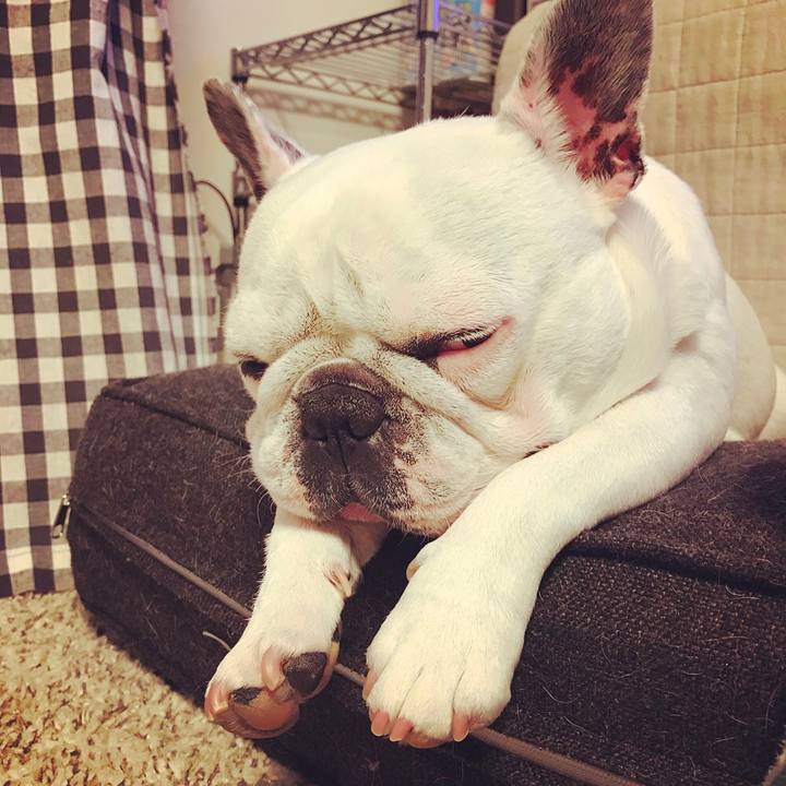 C3d69dee ffae 452a ae10 aee7f4c447d1