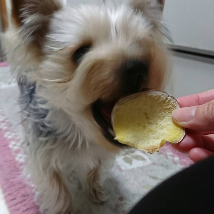 C3d6ec8a d02e 464b bd4e d8ddc6eaab35