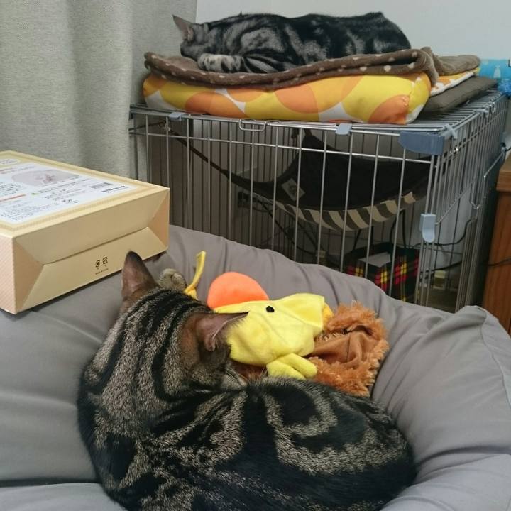 C3d75516 4efa 4d68 8f5f 6e80dbe72331