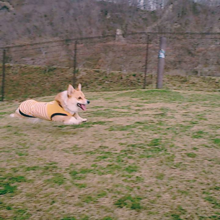 C3d8474c cdb0 4f15 8665 4ced0f317725